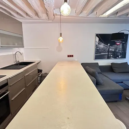 Bright 1-bedroom In The Heart Of The Marais Apartment *
